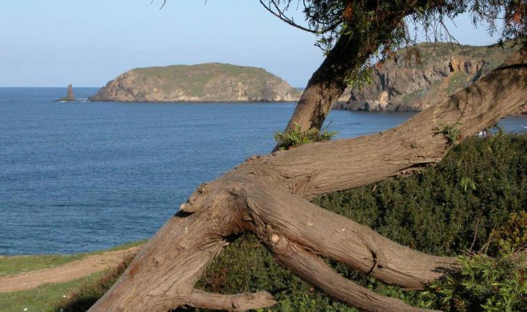 Appartamento In Casa Con Cortili Ad Arbus - Sardegna 外观 照片